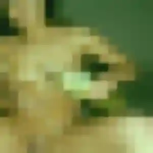 Alessandra, fille de 37 ans cherche rencontre sexe à Agen
