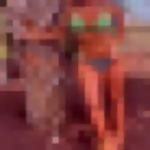 Katia, fille de 20 ans cherche rencontre sexe à Aimargues