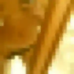 Photo de Frederique à Anse (19 ans) - rencontre sexe gratuit