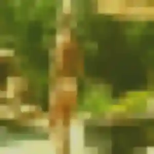 Photo de Sixtine à Arsac (37 ans) - rencontre sexe sans inscription