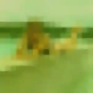 Sofia, 33 ans, connectée à Beaurepaire pour un rencontre sexe