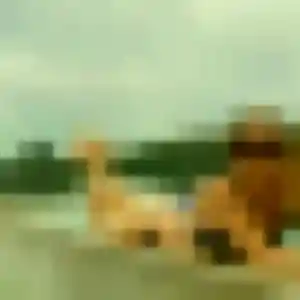 Rose-Marie, femme de 30 ans propose rencontre sexe à Bethoncourt
