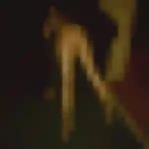 Photo exclusive de Florence, 35 ans à Blaye - rencontre sans lendemain