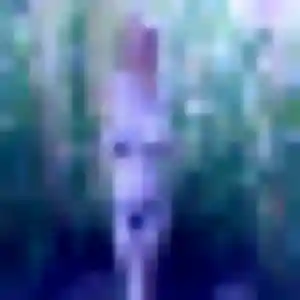 Idalina, 43 ans, dispo pour rencontre sexe à Bonson