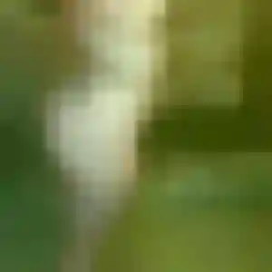 Fiona, femme de 40 ans cherche rencontre sexe à Bram