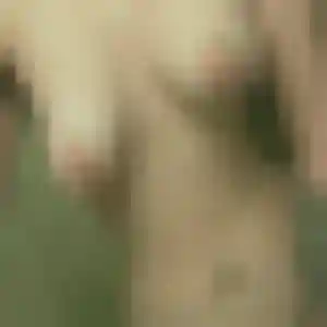 Severine de Carnoules, 34 ans - rencontre sexe sans lendemain