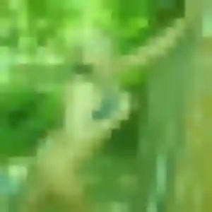 Giulia, 20 ans, veut un rencontre sexe à Caromb