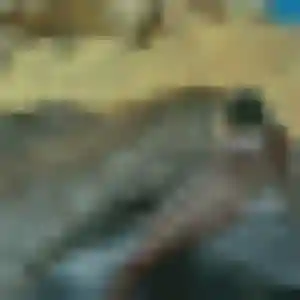 Belle Solene, 24 ans à Caromb - la contacter