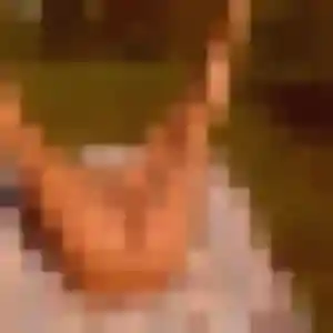 Photo de Delice à Ceyrat (31 ans) - rencontre sexe sans inscription