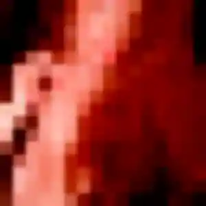 Photo privée de Amandine, 26 ans à Champcevinel - plan discret