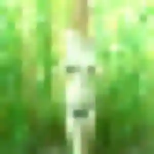 Photo exclusive de Perrine, 21 ans à Châtel-Guyon - rencontre coquine