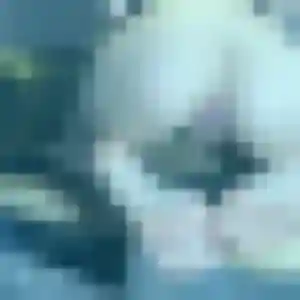 rencontre sexe à Delle : photo de Bertrane, 45 ans - accès libre