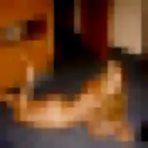rencontre sexe à Douvaine : photo de Tatiana, 31 ans - accès libre
