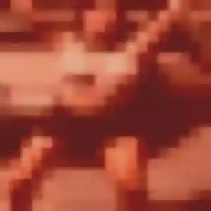 Photo exclusive de Violette, 32 ans à Échiré - rencontre sans lendemain