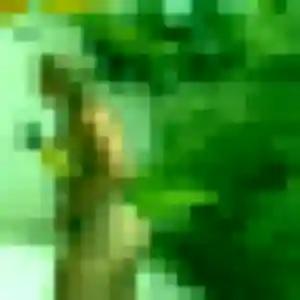 Salima, femme de 38 ans veut rencontre sexe à Ensuès-la-Redonne