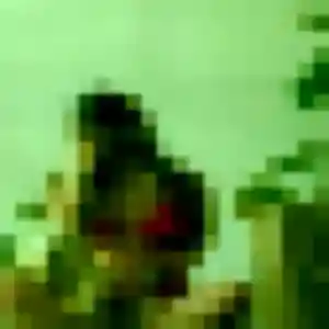 Photo de Anne-Laure à Fillière (22 ans) - rencontre sexe sans inscription