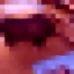 rencontre sexe à Fourchambault : photo de Imane, 23 ans - sans engagement
