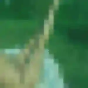 Photo de Melodie à La Balme-de-Sillingy (39 ans) - rencontre sexe gratuit