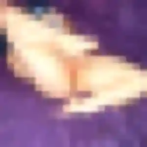 Photo de Aurelie à La Destrousse (33 ans) - rencontre sexe sans inscription