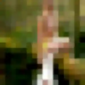 Debora, 44 ans, connectée à Labenne pour un rencontre sexe