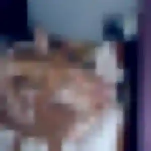 Profil de Pauline à Lambesc (19 ans) - rencontre sexe gratuit