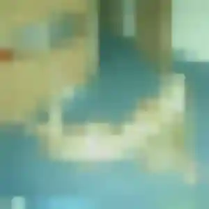 Profil de Agathe à Launaguet (26 ans) - rencontre sexe sans inscription