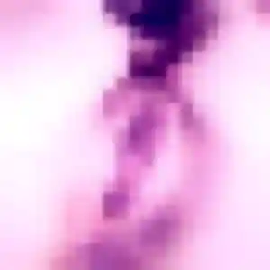 Alicia, femme de 29 ans propose rencontre sexe à Le Palais-sur-Vienne