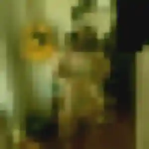 Photo privée de Zephyrine, 22 ans à Le Passage - rencontre coquine