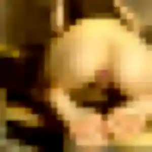 Photo de Zelda à Libourne (45 ans) - rencontre sexe anonyme