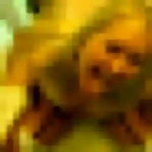 Phoebe, 33 ans, disponible à Nay pour un rencontre sexe