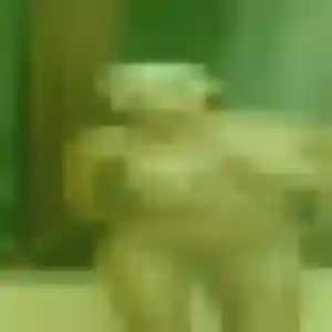 Photo de Wendy à Nîmes (19 ans) - rencontre sexe sans inscription