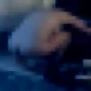 Hermine, 31 ans, dispo pour rencontre sexe à Niort