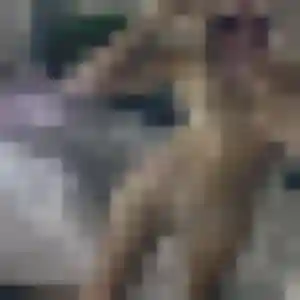 Photo de Fabienne à Ornex (33 ans) - rencontre sexe sans inscription