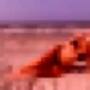 Photo sexy de Regine, 42 ans à Panazol - rencontre sans lendemain