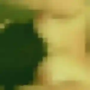 Photo privée de Perrine, 27 ans à Penta-di-Casinca - rencontre sans lendemain