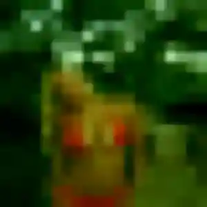Profil de Ariane à Poitiers (43 ans) - rencontre sexe discret