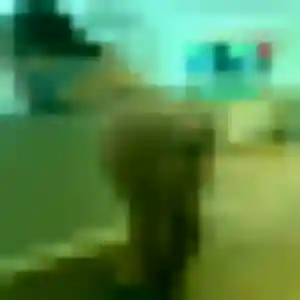Victoire (32 ans) à Porte-de-Savoie cherche un rencontre sexe rapidement