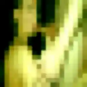 Profil de Stephanie à Rillieux-la-Pape (21 ans) - rencontre sexe anonyme