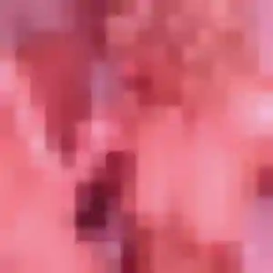 Faustine (33 ans) à Saint-Hippolyte-du-Fort attend un rencontre sexe rapidement