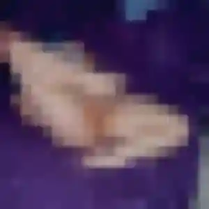 Xaviere, 22 ans, cherche un rencontre sexe à Saint-Saturnin-lès-Avignon