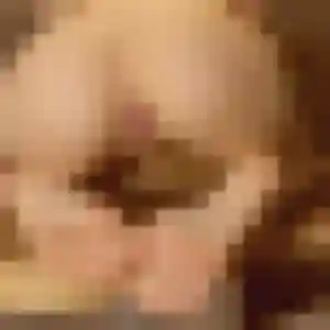 Marie-Christine, femme de 25 ans cherche rencontre sexe à Saint-Sulpice-la-Pointe