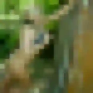 rencontre sexe à Sathonay-Camp : photo de Melodie, 31 ans - accès libre