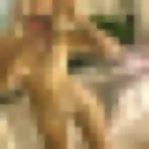 Photo exclusive de Djamila, 31 ans à Yenne - rencontre sans lendemain
